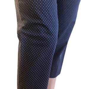 Cropped Navy and Polka Dot Pants